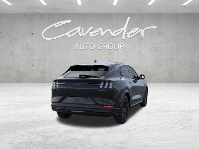 New 2026 Shadow Black Ford Premium image 9