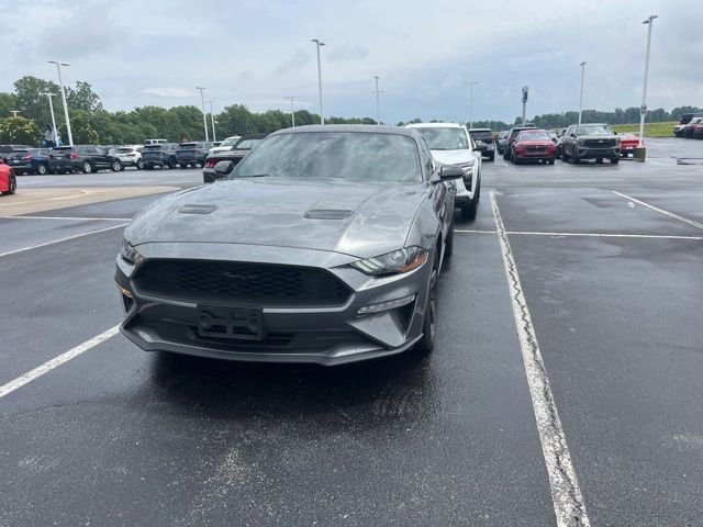 Used 2021 Gray Ford EcoBoost image 4
