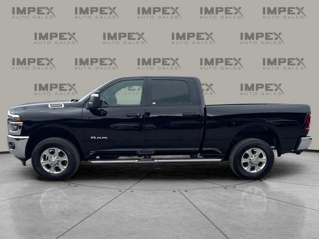 Used 2026 Black Ram Big Horn image 2
