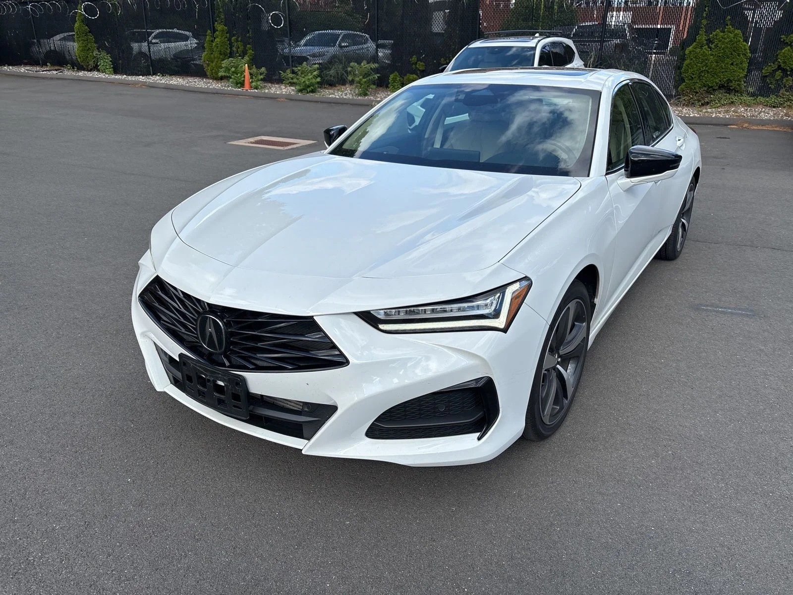 2025 Acura TLX 2.0 Auto Technology Package's photo