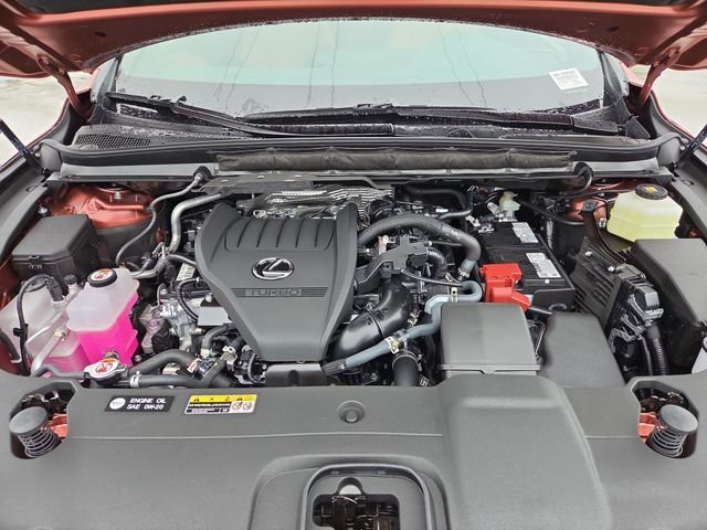 New 2026 Copper Crest Lexus PREMIUM image 26