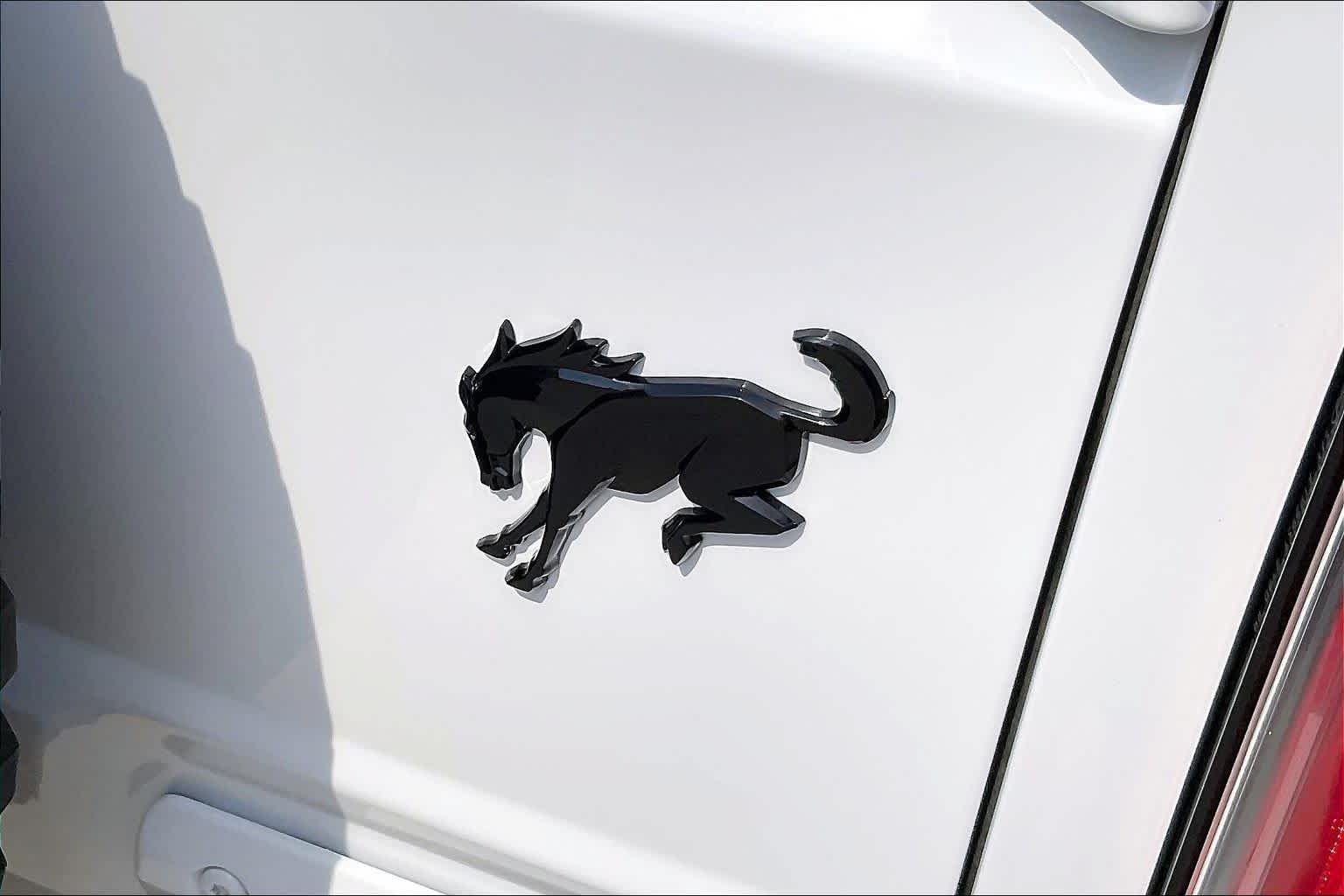 Used 2021 Oxford White Ford Outer Banks image 10