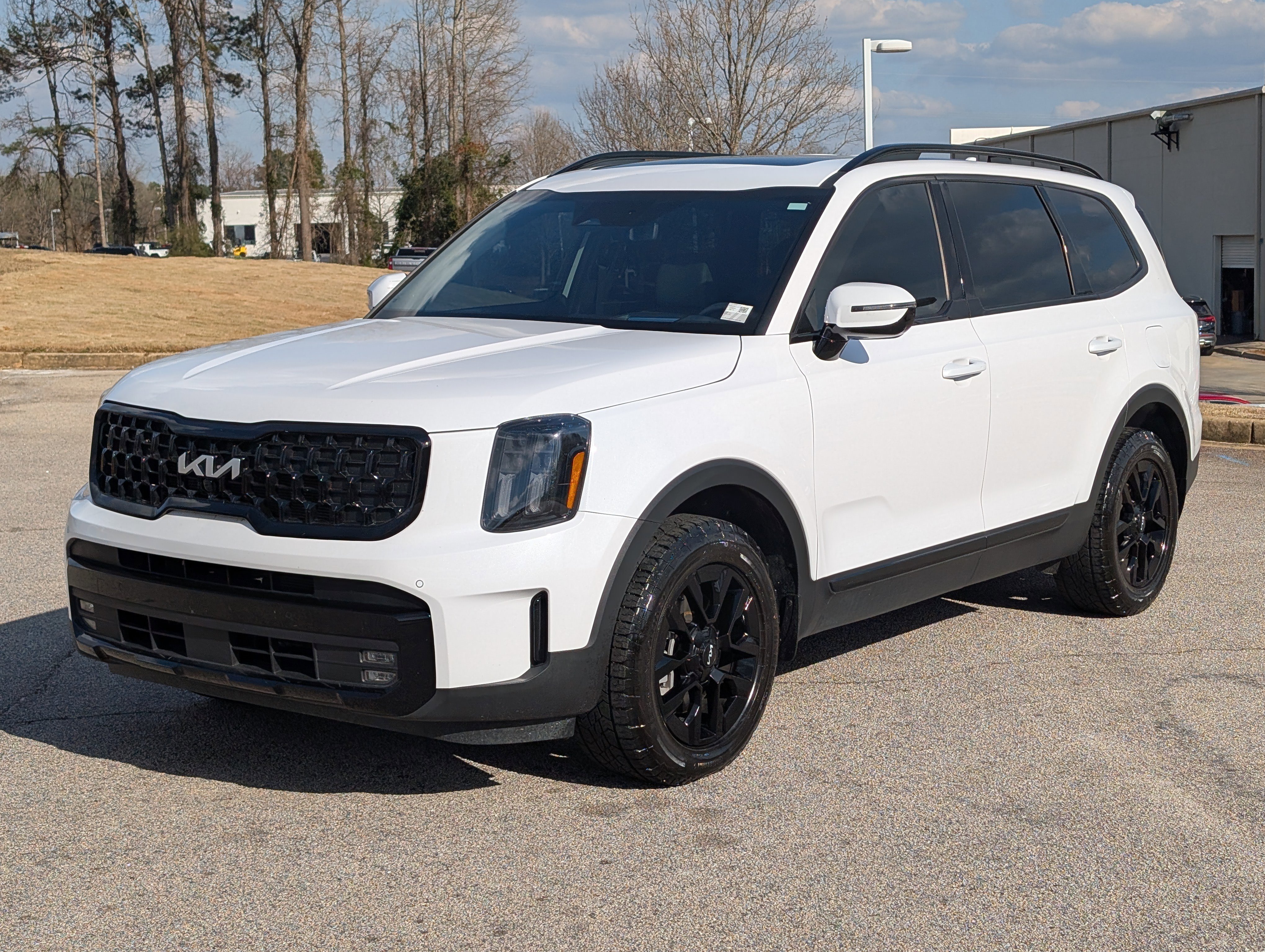 2024 Kia Telluride SX Prestige X-Pro AWD's photo