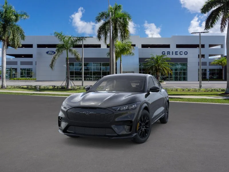 New 2026 Shadow Black Ford Premium image 25