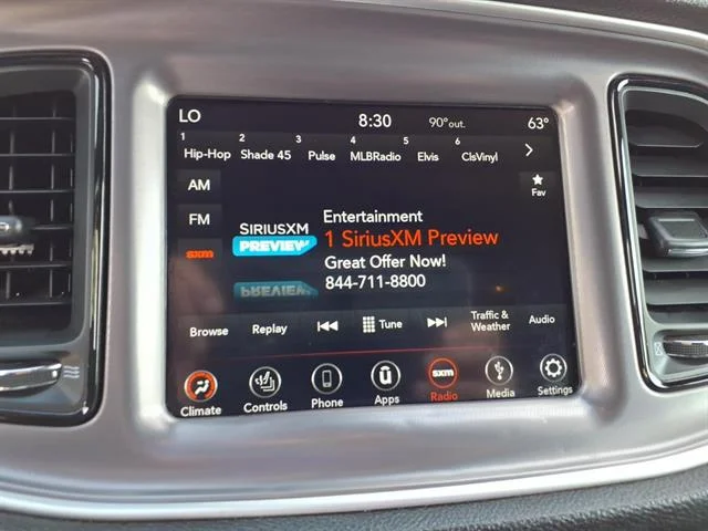 Used 2019 Granite Pearl Coat Dodge SXT image 6