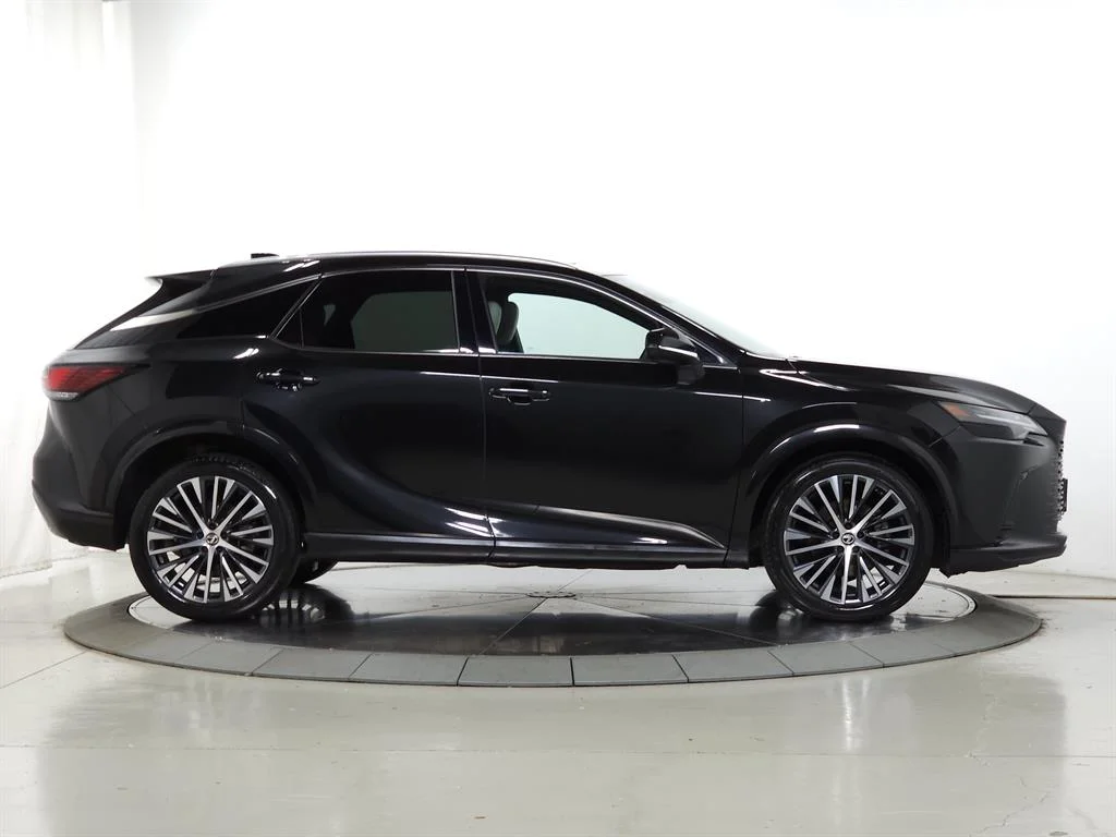2023 Lexus RX 350 - Photo 10