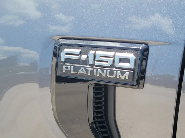 New 2026 Gray Metallic Ford Platinum image 9