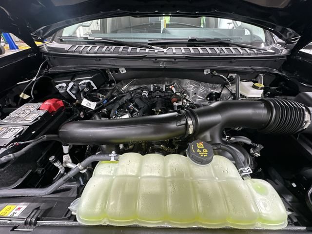 New 2027 Black Ford Active image 22
