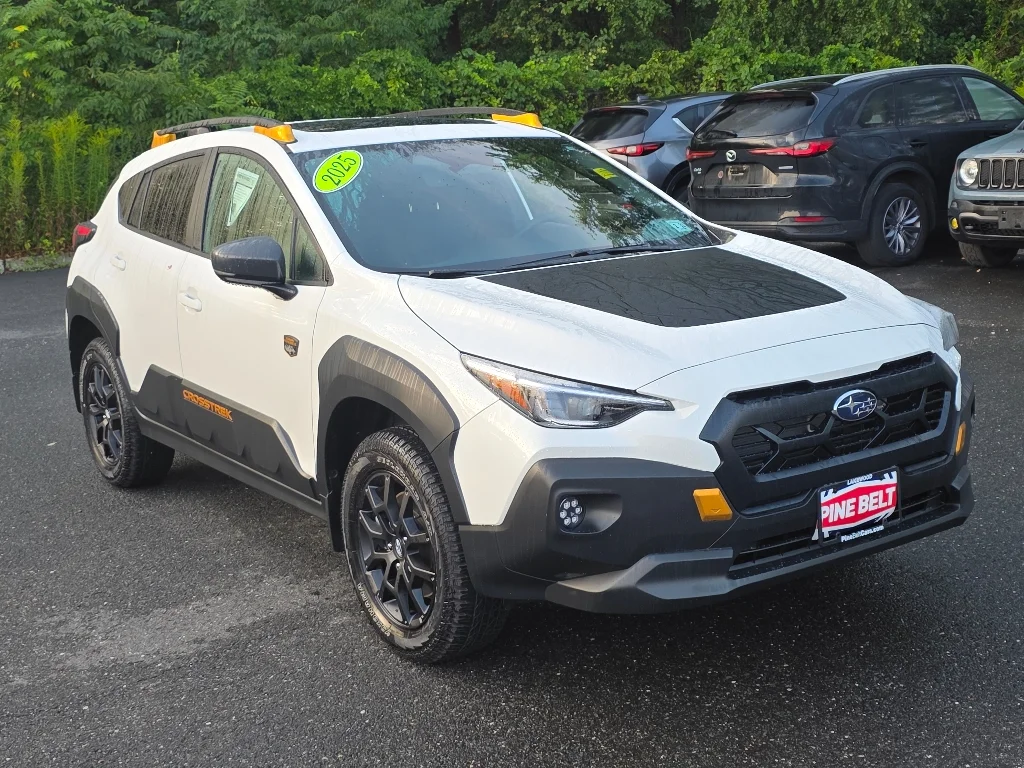 2025 Subaru Crosstrek Wilderness - Photo 9