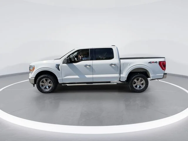 Used 2023 White Ford XLT image 5