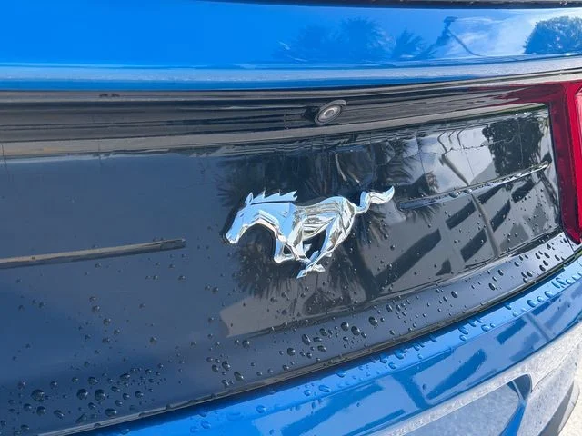 Used 2019 Blue Metallic Ford EcoBoost image 35