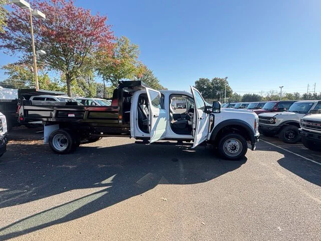 New 2026 Oxford White Ford F-550® XL image 9