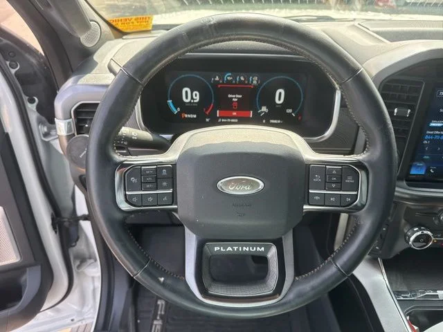 Used 2022 White Ford Platinum image 13