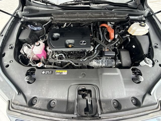 Photo 27