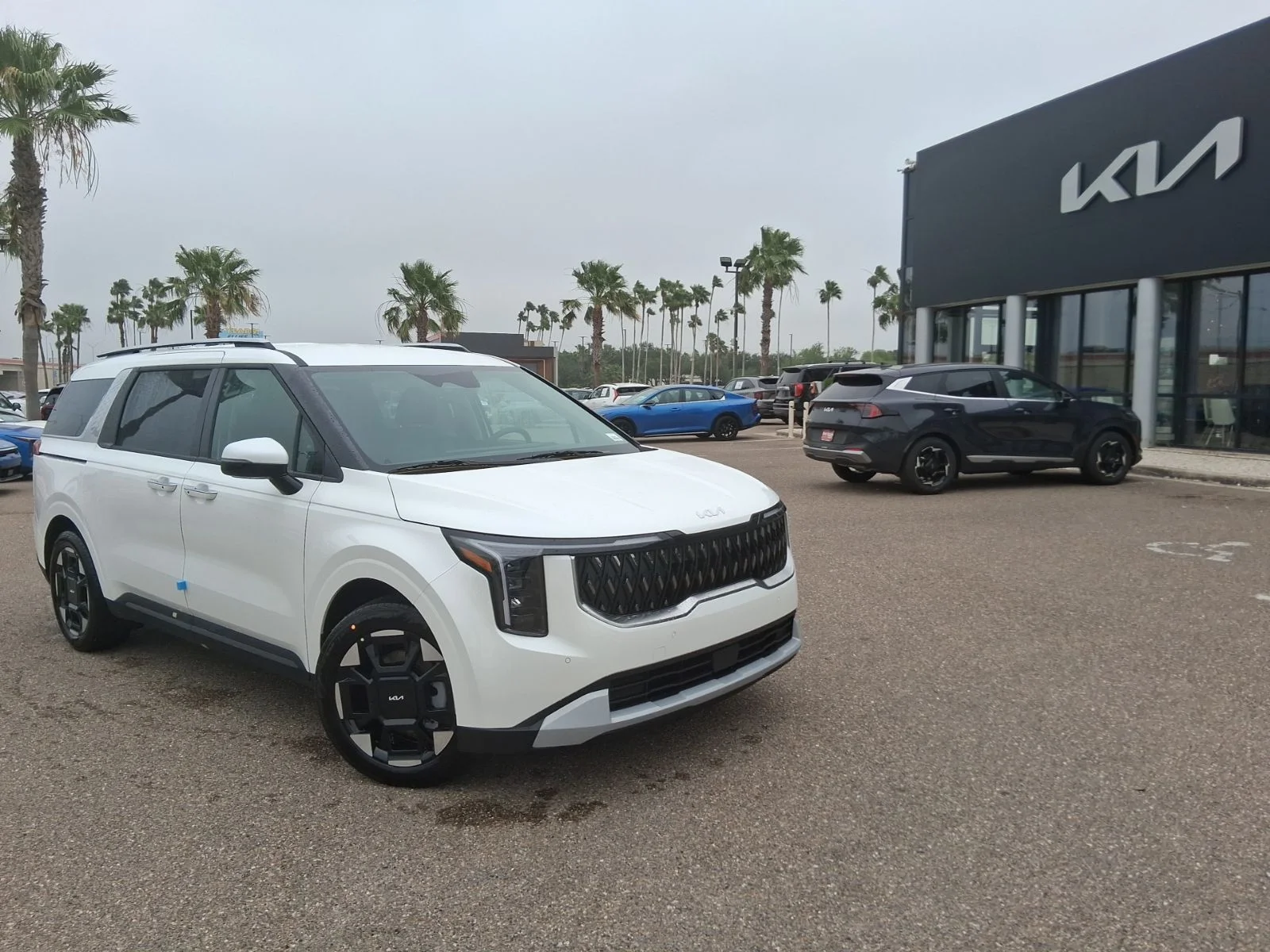 2026 Kia Sedona EX's photo