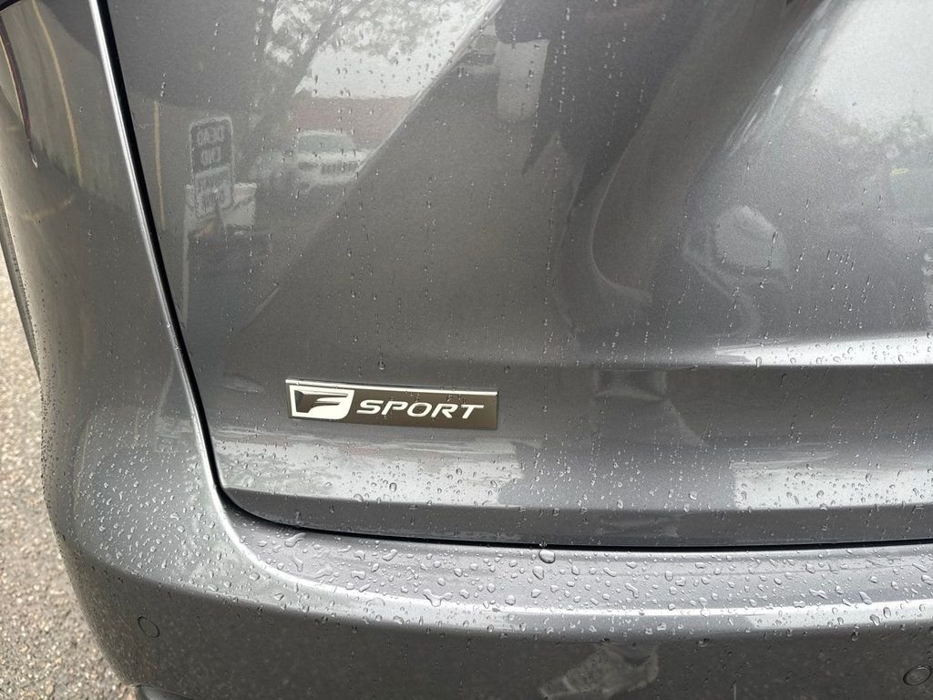 Used 2019 Gray Lexus 300 F Sport image 21