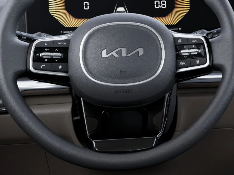 New 2026 Panthera Metal Kia LX image 22