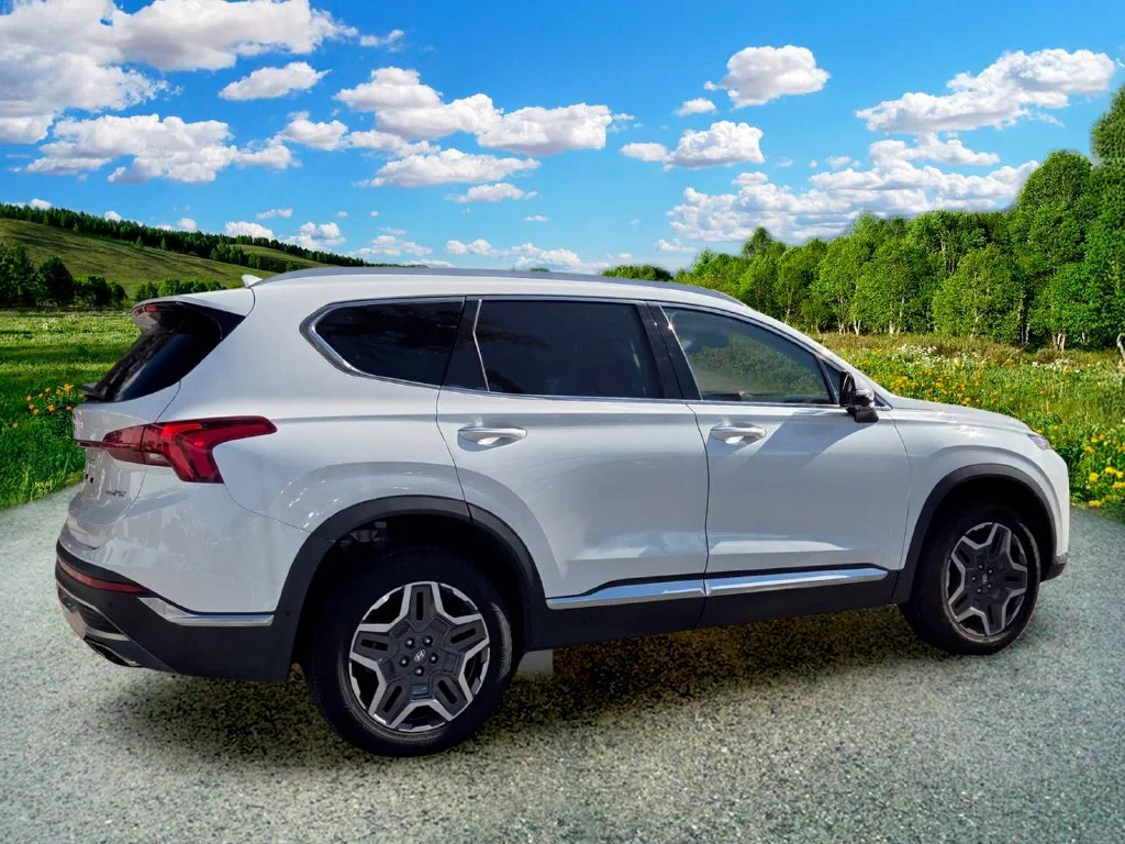 2021 Hyundai Santa Fe Limited - Photo 6