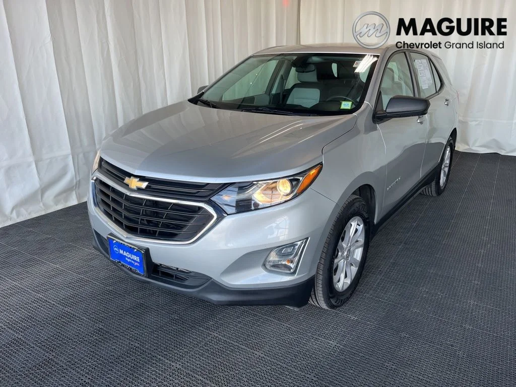 Used 2019 Silver Chevrolet LS image 1