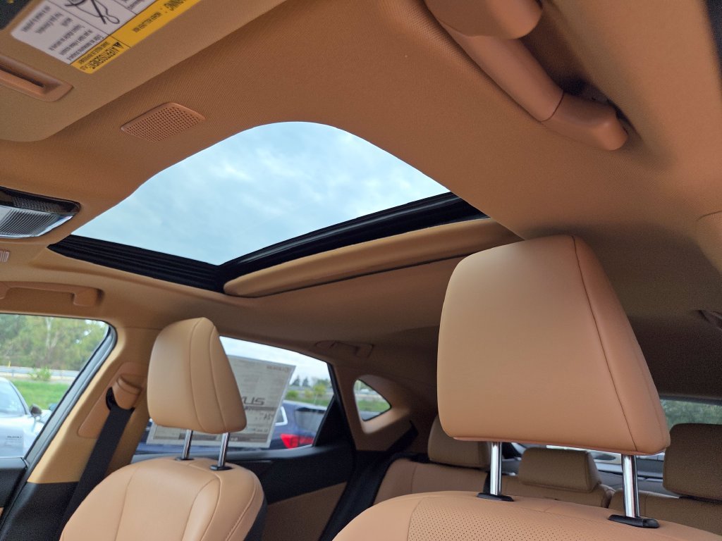 New 2026 Nori Green Pearl Lexus PREMIUM image 8