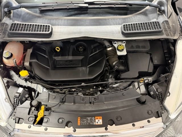Used 2018 Magnetic Ford Titanium image 47