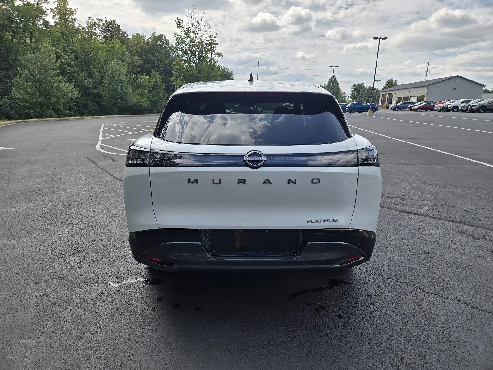 New 2027 Everest White Pearl Tricoat Nissan Platinum image 8