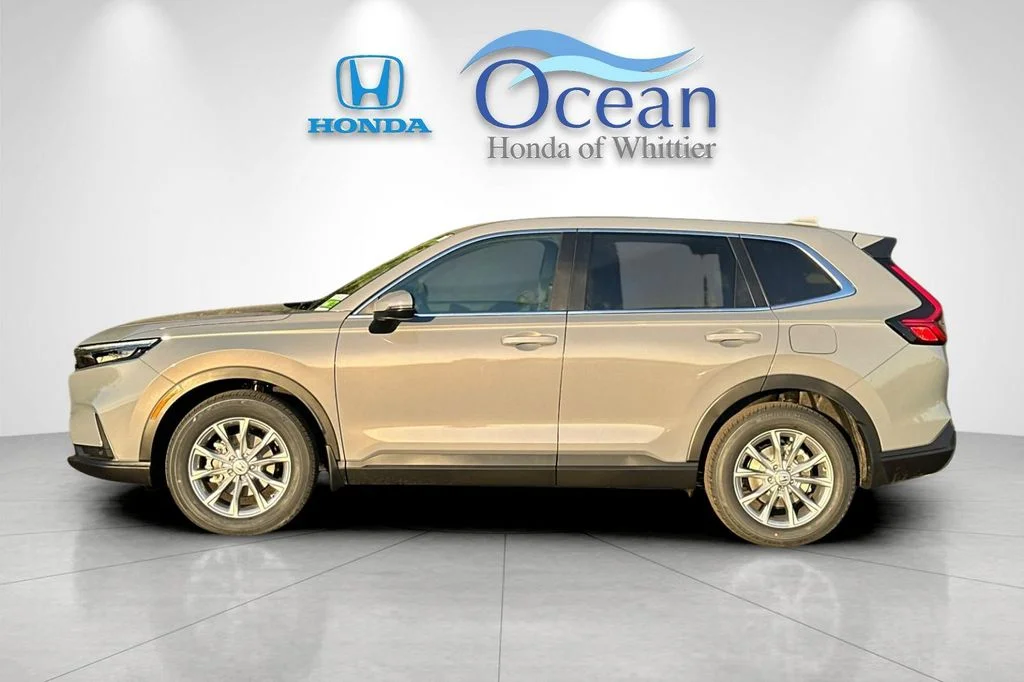New 2025 Platinum White Pearl Honda EX-L image 7