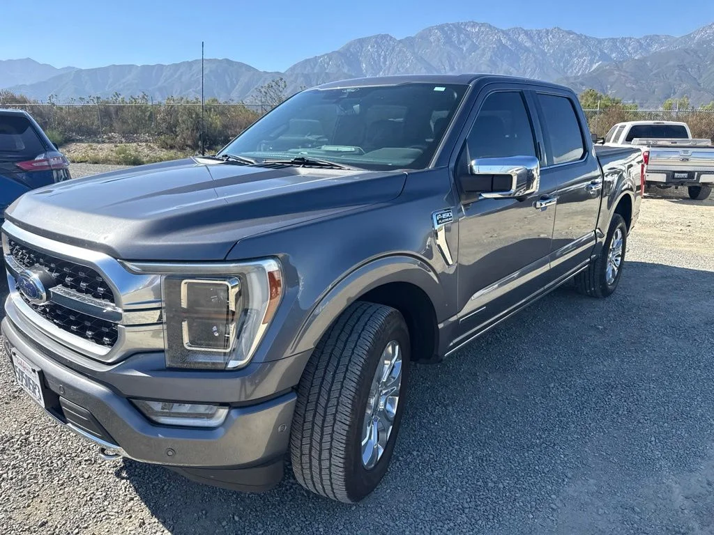 Used 2021 Gray Metallic Ford Platinum image 4