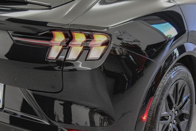 New 2026 Shadow Black Ford Premium image 7