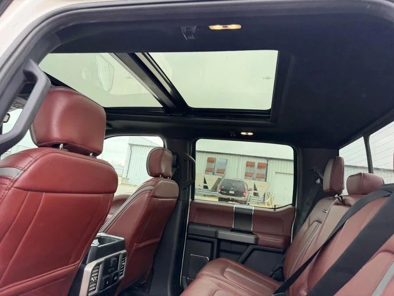 Used 2019 White Ford Platinum image 8