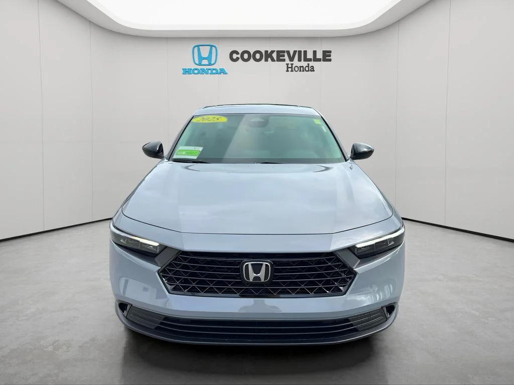Used 2025 Urban Gray Pearl Honda SE image 6
