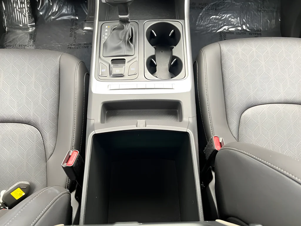 Used 2026 Panthera Metal Kia LXS image 9