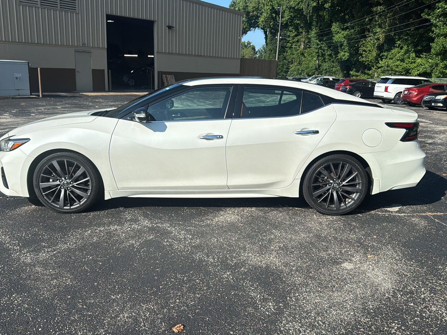 Used 2019 Pearl White Tricoat Nissan Platinum image 6
