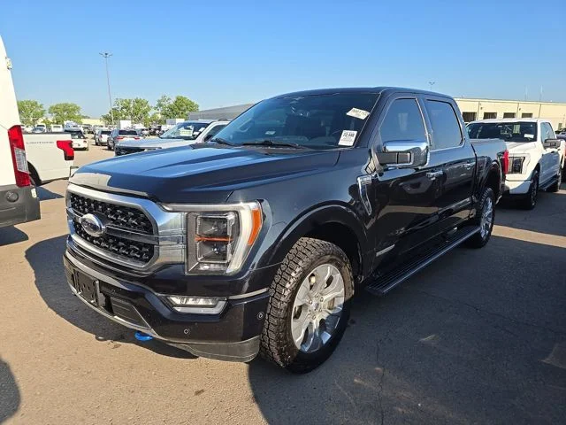 Used 2023 Black Ford Platinum image 17