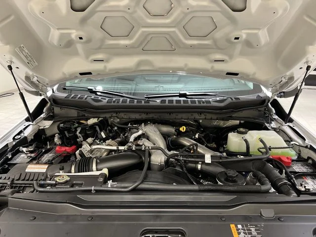 New 2026 White Ford  image 24