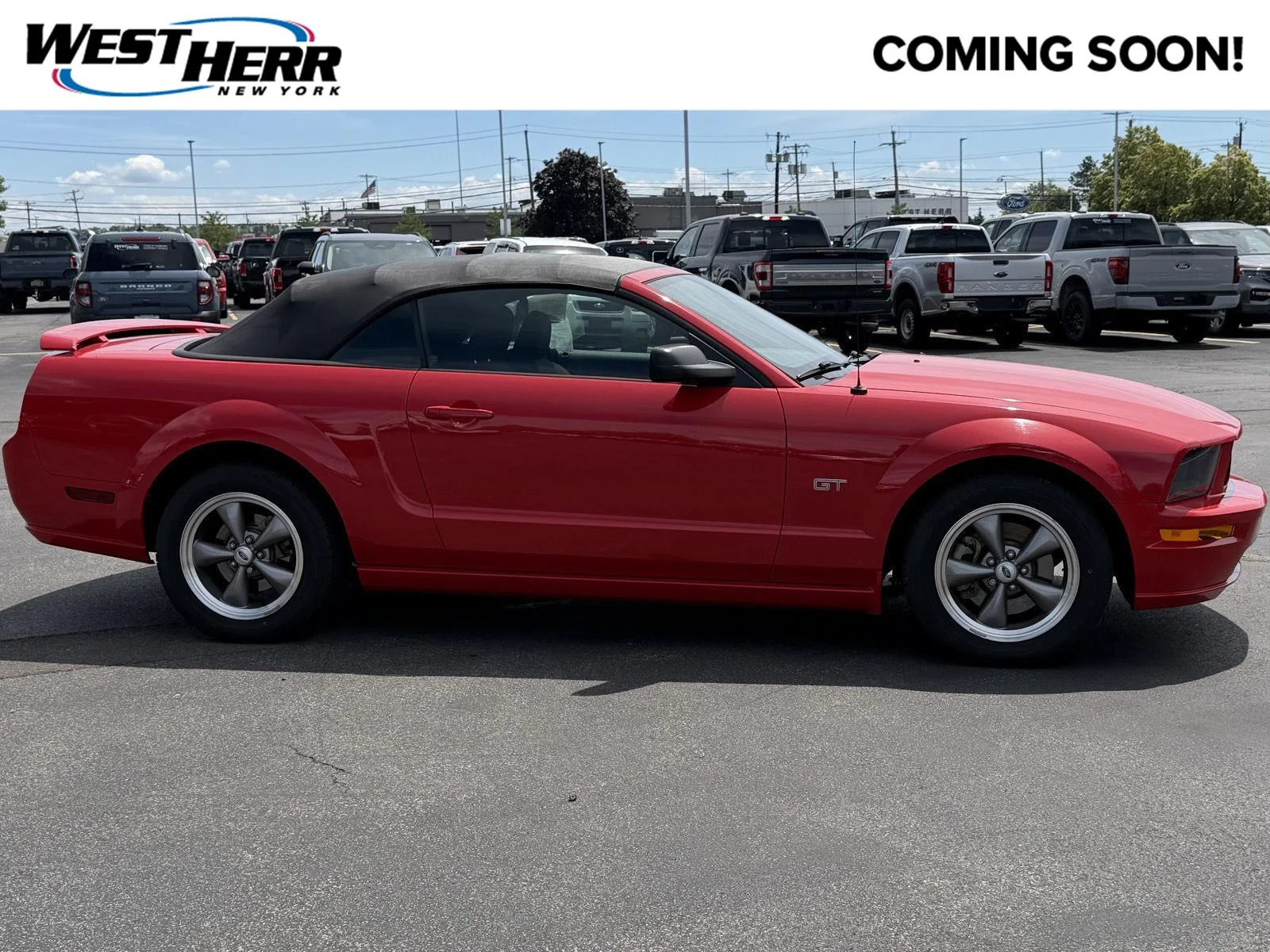 Used 2006  Ford GT Deluxe image 1