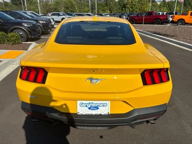Used 2024 Yellow Ford EcoBoost image 6