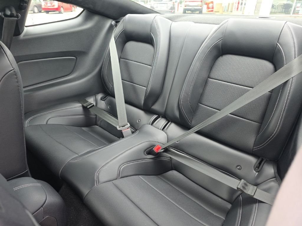 Used 2019 Red Ford EcoBoost Premium image 12