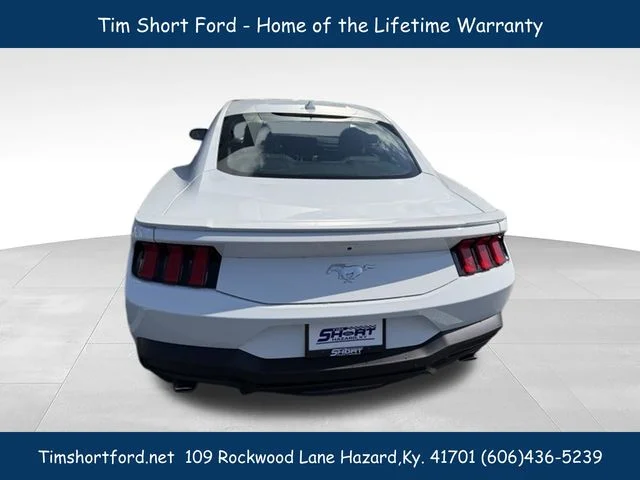 New 2026 White Ford EcoBoost Premium image 6