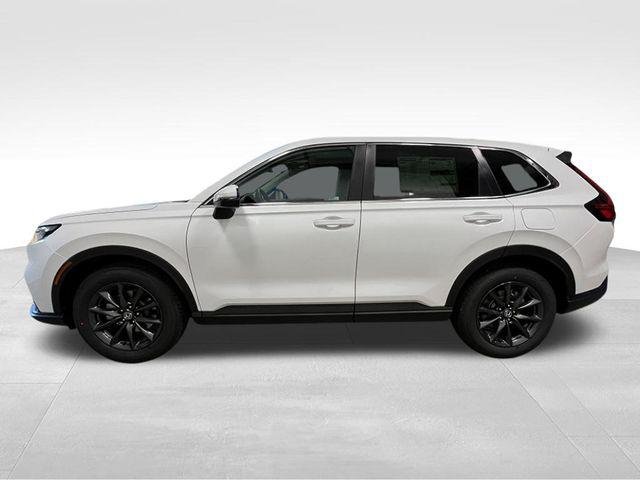 New 2026 Platinum White Pearl Honda EX-L image 2