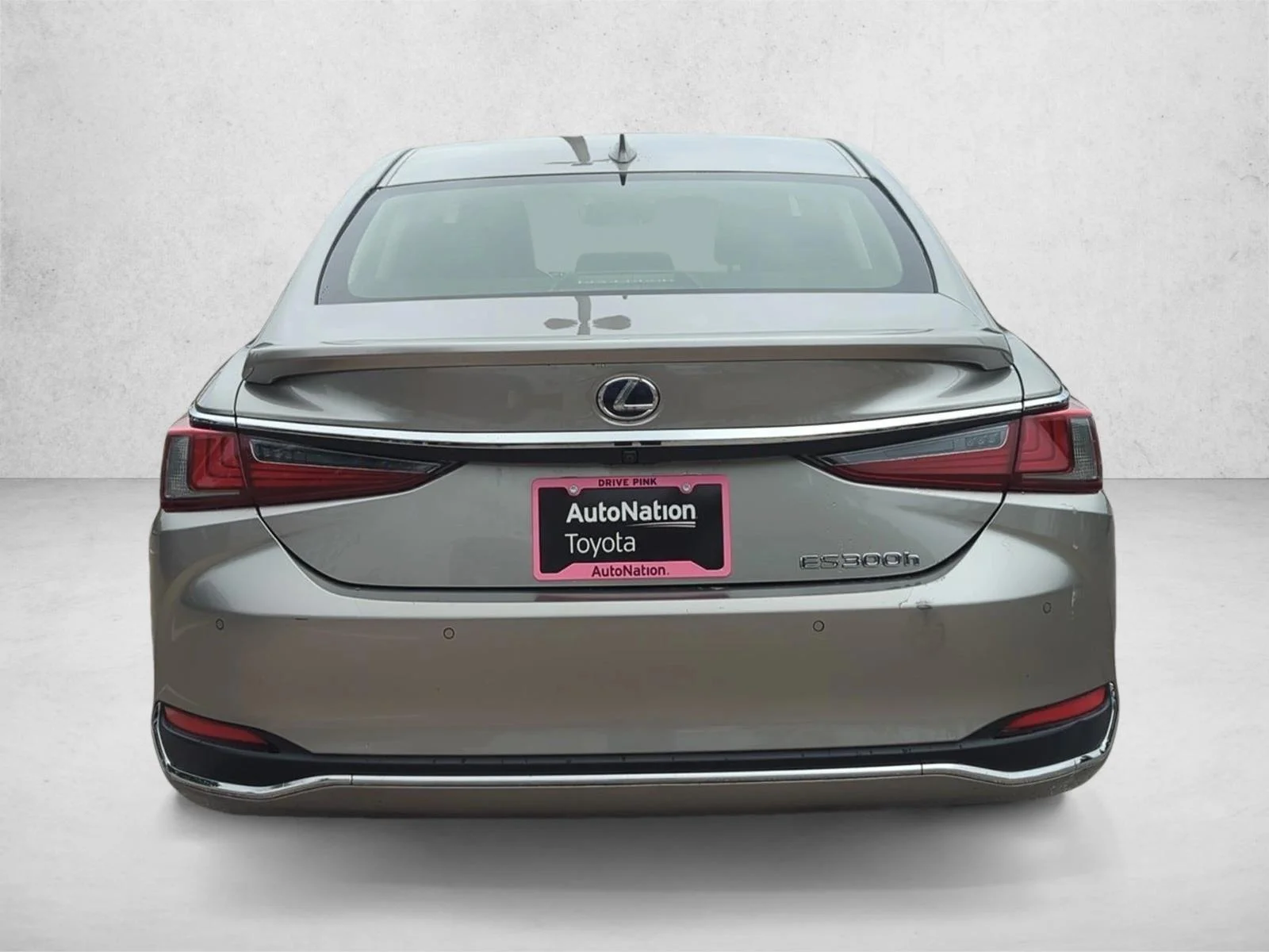 Used 2019 Atomic Silver Lexus ES 300h Luxury image 6