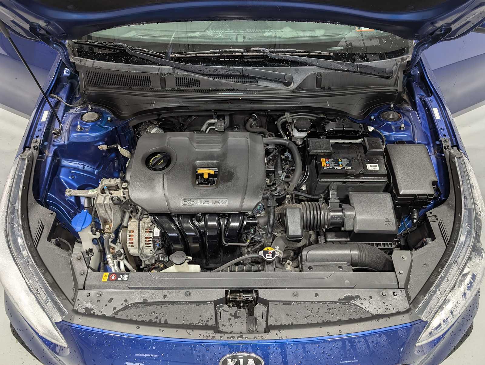 Used 2020 Deep Sea Blue Kia LXS image 14