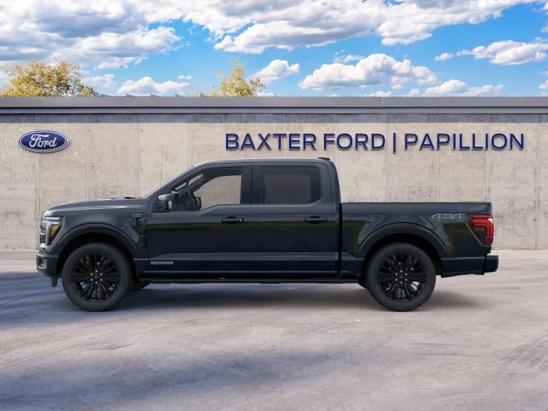 New 2026 Agate Black Ford Platinum image 31