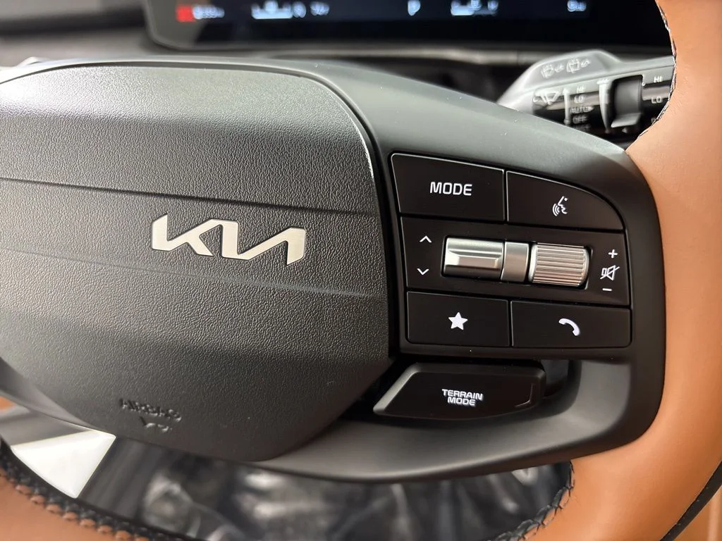 New 2026 Panthera Metal Matte Kia X-Line image 33