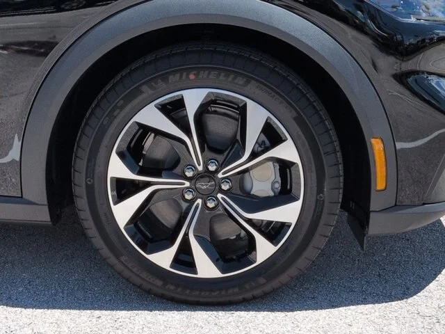 New 2026 Shadow Black Ford Select image 11
