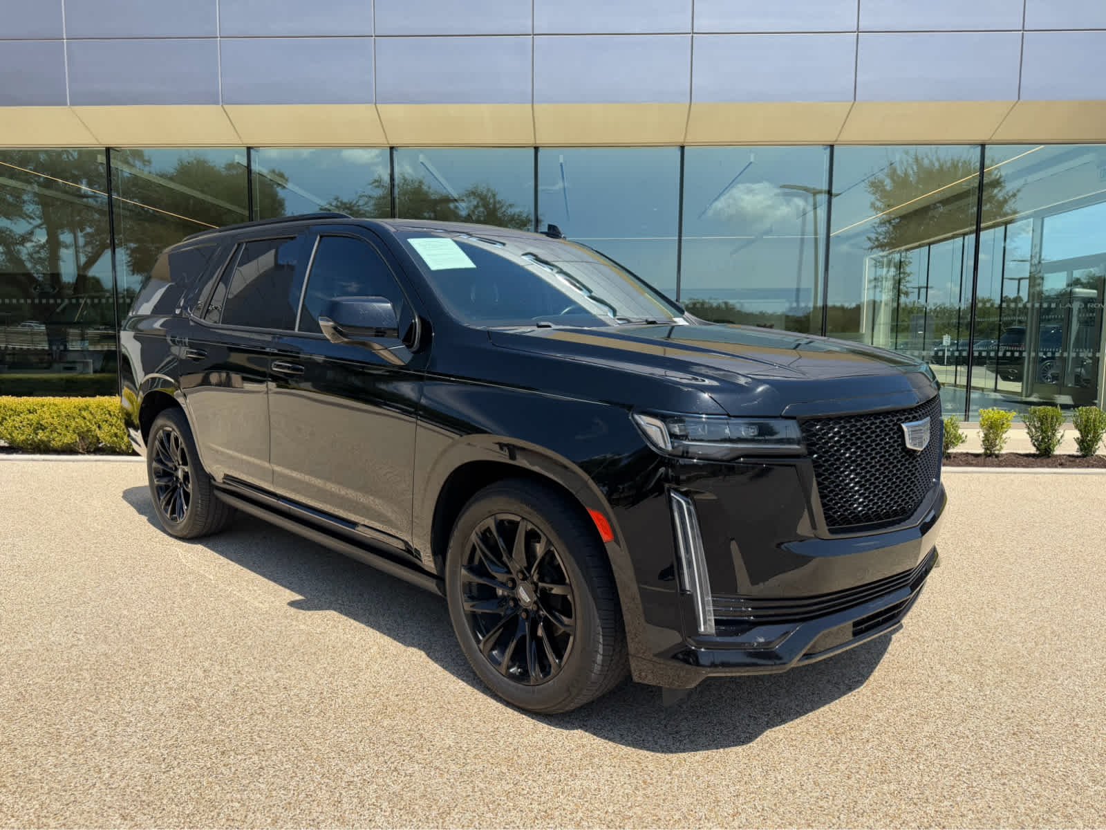 Used 2022 Black Raven Cadillac Sport Platinum image 3