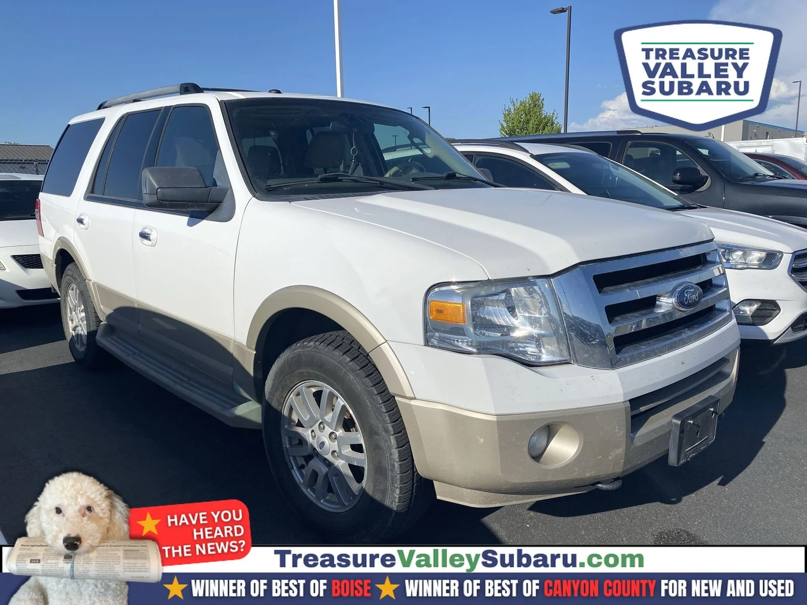 2010 Ford Expedition Eddie Bauer 4x4's photo