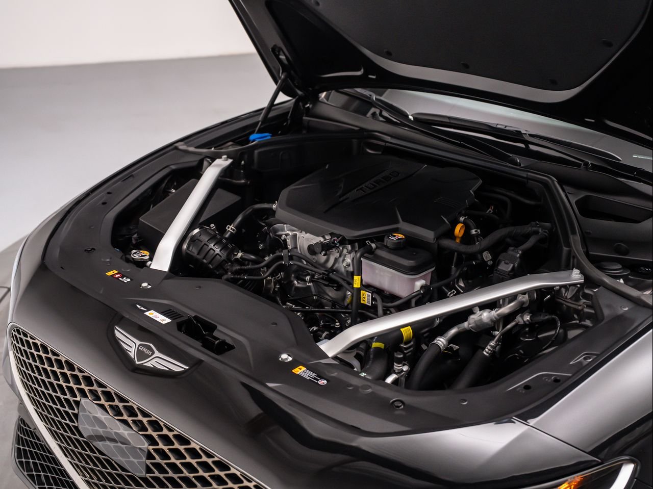 New 2026 Vik Black Genesis 2.5T image 10
