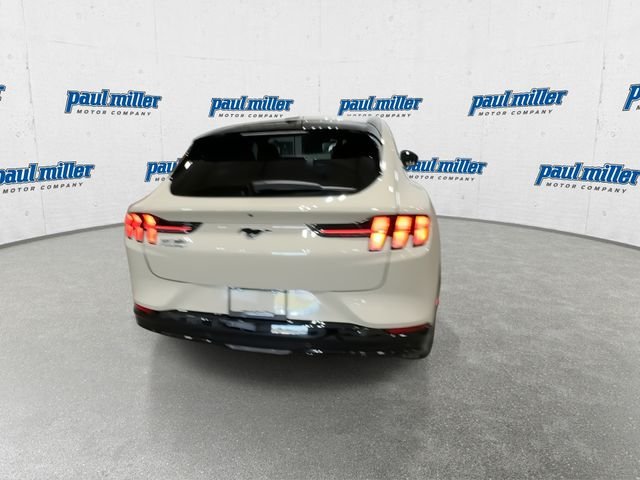 New 2026 Beige Ford Premium image 10