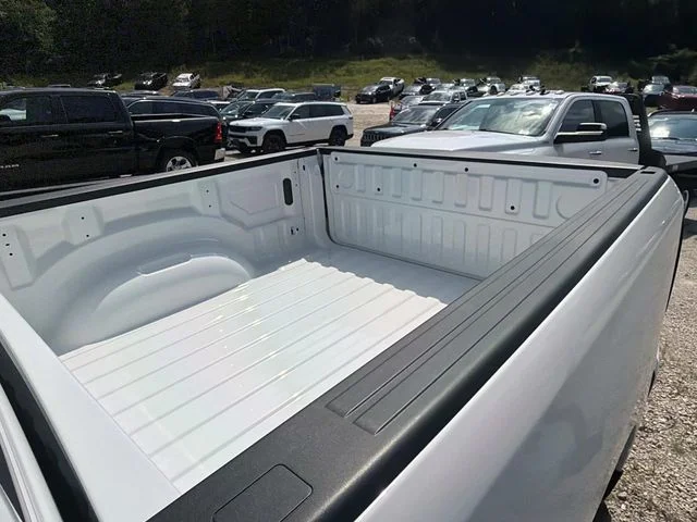 New 2026 Bright White Clear-Coat Exterior Paint RAM Express image 12